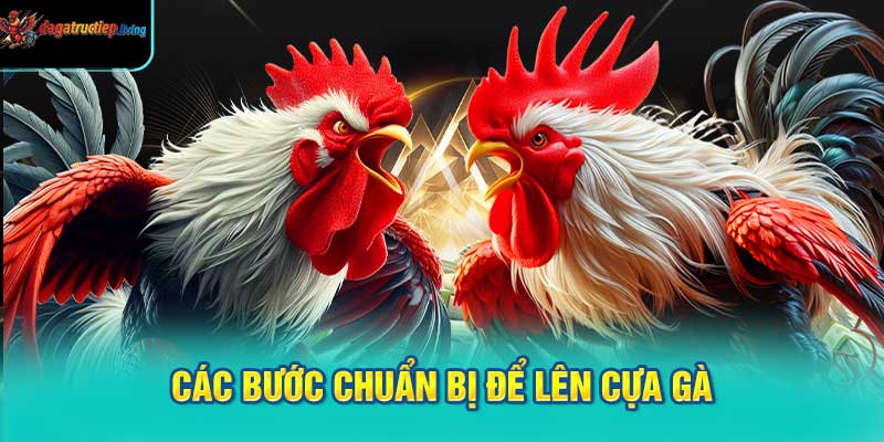 Các bước chuẩn bị để lên cựa gà