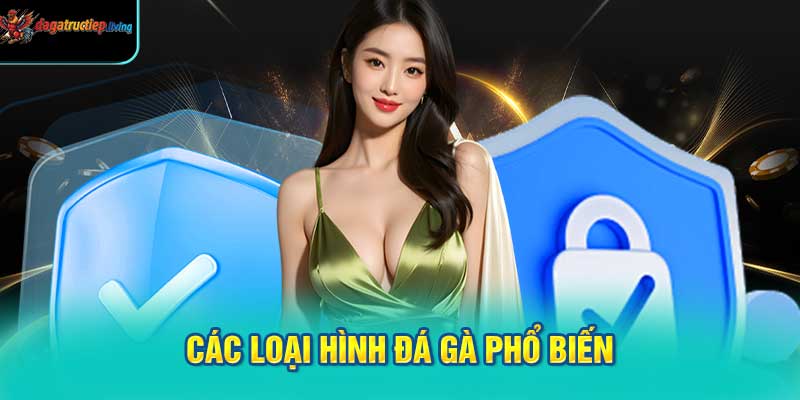Các Loại Hình Đá Gà Phổ Biến