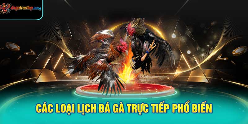 Các loại lịch đá gà trực tiếp phổ biến