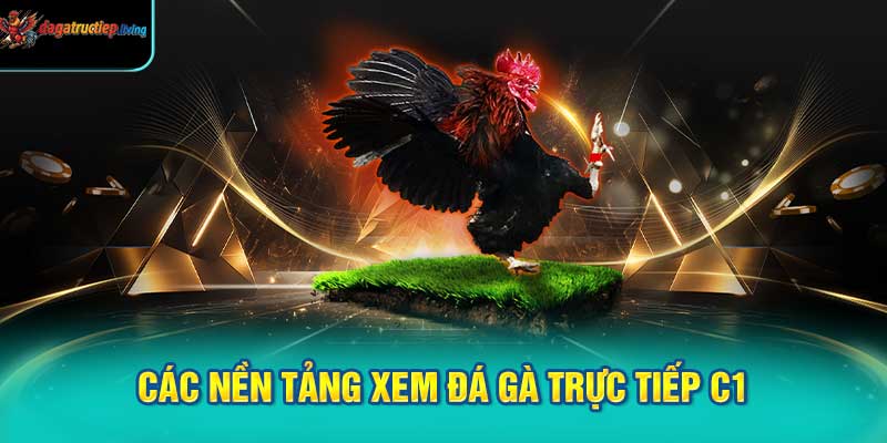 Các Nền Tảng Xem Đá Gà Trực Tiếp C1