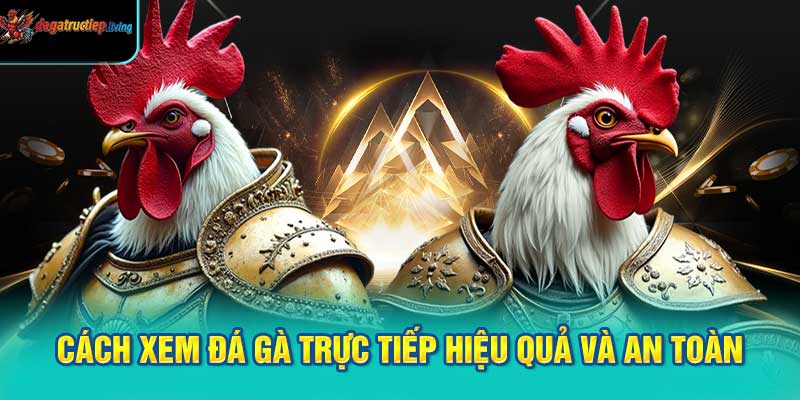 Hướng dẫn cách xem đá gà trực tiếp hiệu quả và an toàn