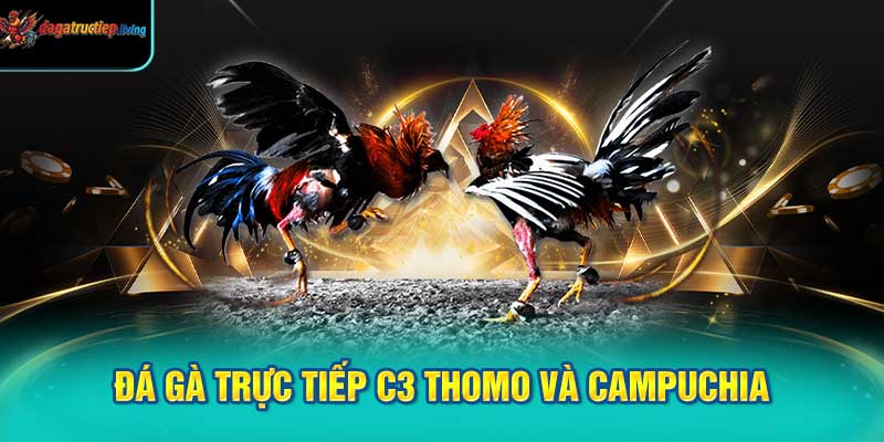 Đá Gà Trực Tiếp C3 Thomo và Campuchia