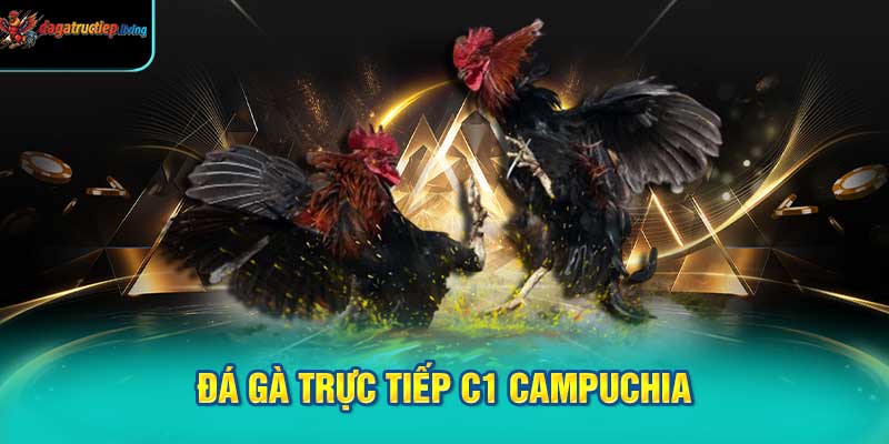 Đá Gà Trực Tiếp C1 Campuchia