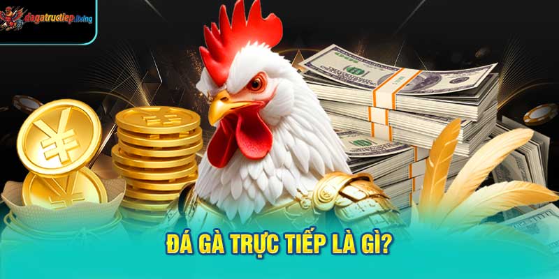 Đá gà trực tiếp là gì?