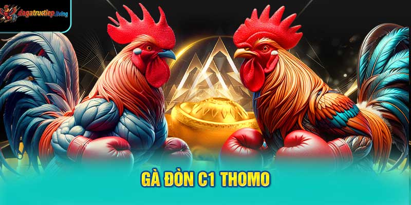 Gà đòn C1 Thomo