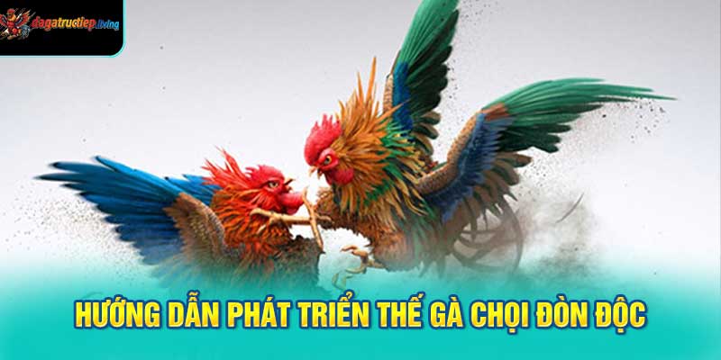 Hướng Dẫn Rèn Luyện Để Phát Triển Thế Gà Chọi Đòn Độc
