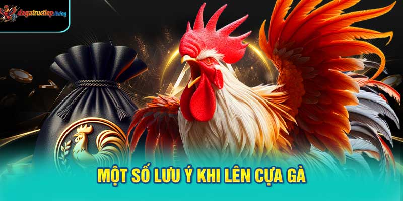 Một số lưu ý khi lên cựa gà