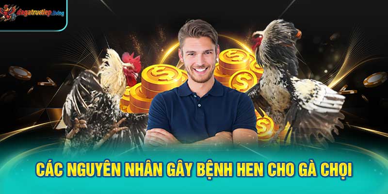 Các nguyên nhân gây bệnh hen cho gà chọi