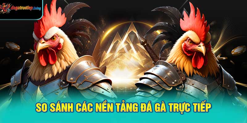 các nền tảng đá gà trực tiếp phổ biến