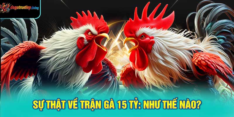 Sự Thật Về Trận Gà 15 Tỷ: Như Thế Nào?