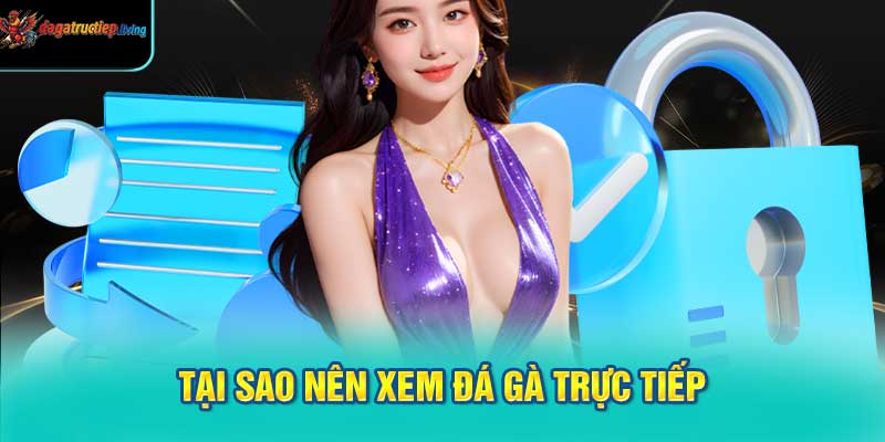 Tại Sao Nên Xem Đá Gà Trực Tiếp