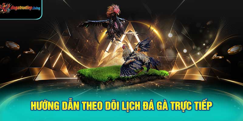 Hướng dẫn theo dõi lịch đá gà trực tiếp