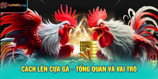 Cách lên cựa gà – Tổng quan và vai trò
