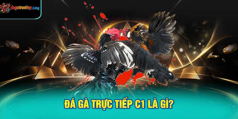 Đá Gà Trực Tiếp C1 Là Gì?
