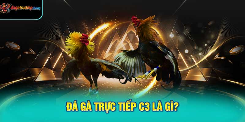 Đá Gà Trực Tiếp C3 Là Gì?