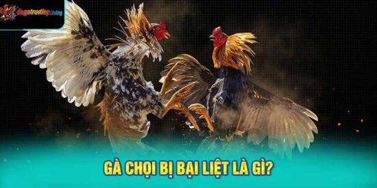 Gà Chọi Bị Bại Liệt Là Gì?