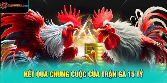 Kết Quả Chung Cuộc Của Trận Gà 15 Tỷ