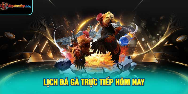 Định nghĩa về lịch đá gà trực tiếp