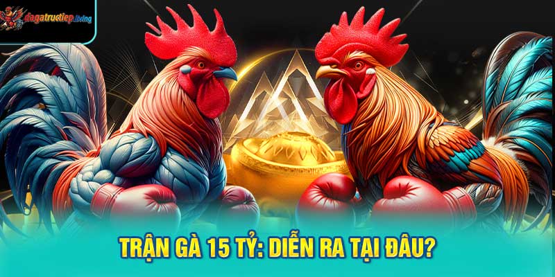 Trận Gà 15 Tỷ: Diễn Ra Tại Đâu?